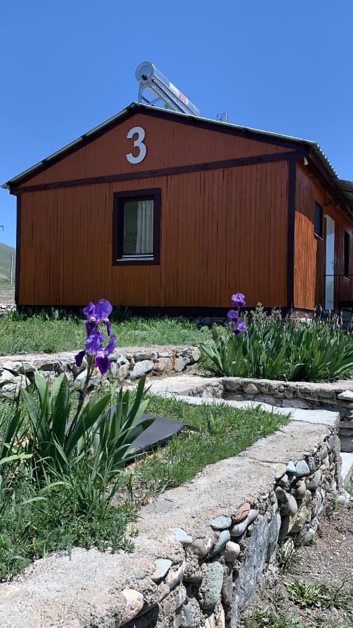 Zhayr Resort&Dive Drakhtik Eksteriør bilde