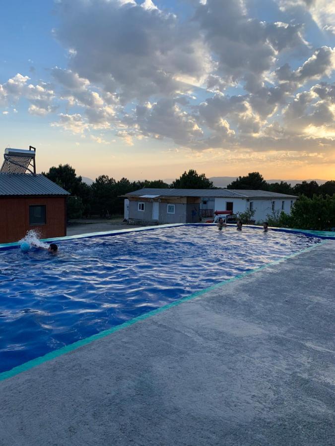 Zhayr Resort&Dive Drakhtik Eksteriør bilde
