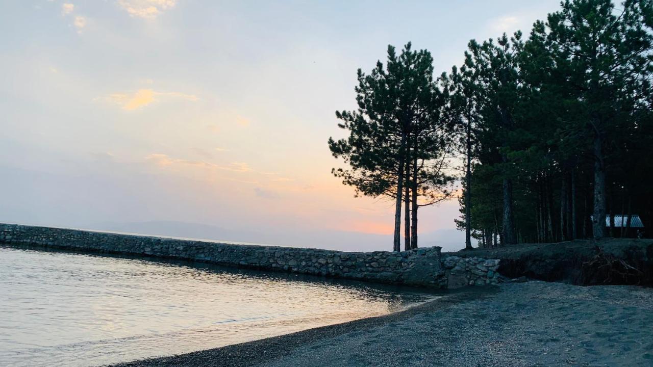 Zhayr Resort&Dive Drakhtik Eksteriør bilde